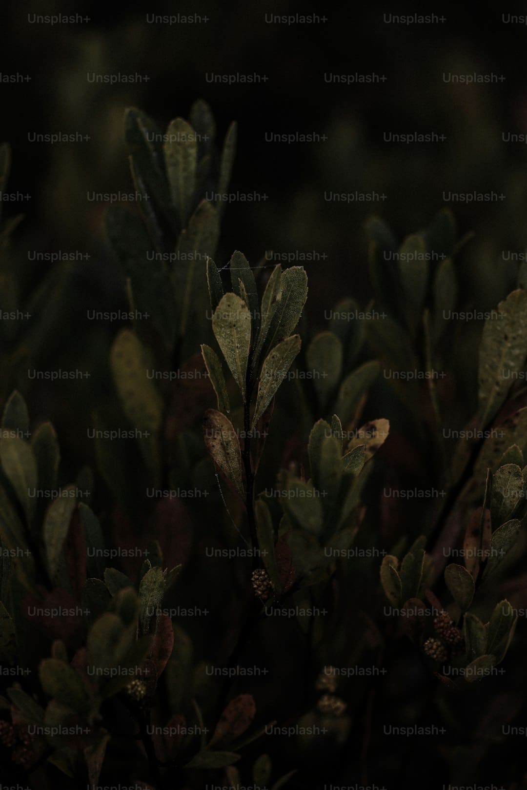 广州海关优化服务助力科研用物资高效通关